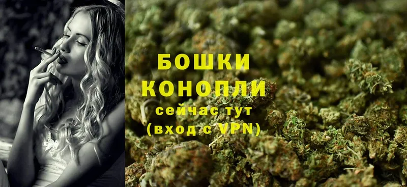 kraken ТОР  Ессентукская  Бошки Шишки White Widow 